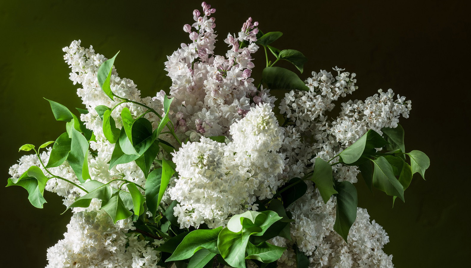 富裕層・経営者向けエグゼクティブ会員制サロンTheSapphire 会社案内